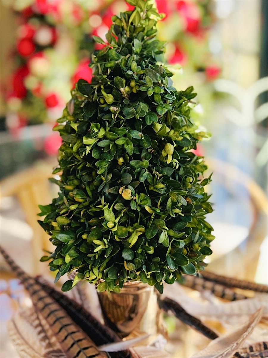 Boxwood Tree with Pepper Berry Accents Workshop | Brenda Dwyer, instructor