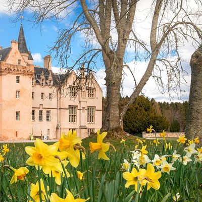 Brodie Castle