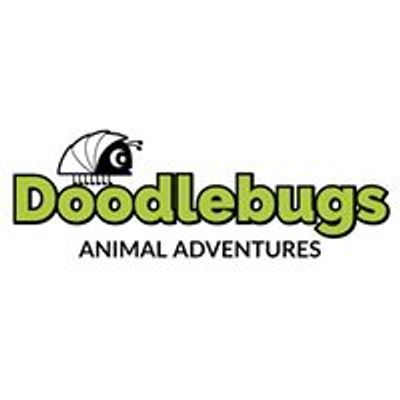Doodlebugs Animal Adventures