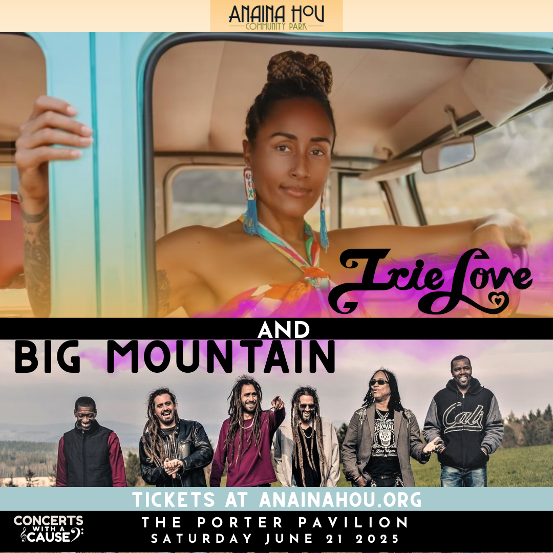 Big Mountain at The Holding Company