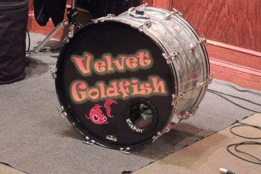 Velvet Goldfish Live Burnt Barrel Burnt Barrel Youngsville NC 