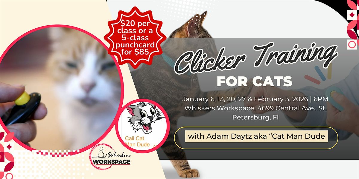 Clicker Training for Cats with Cat Man Dude \u2013 Adam Daytz