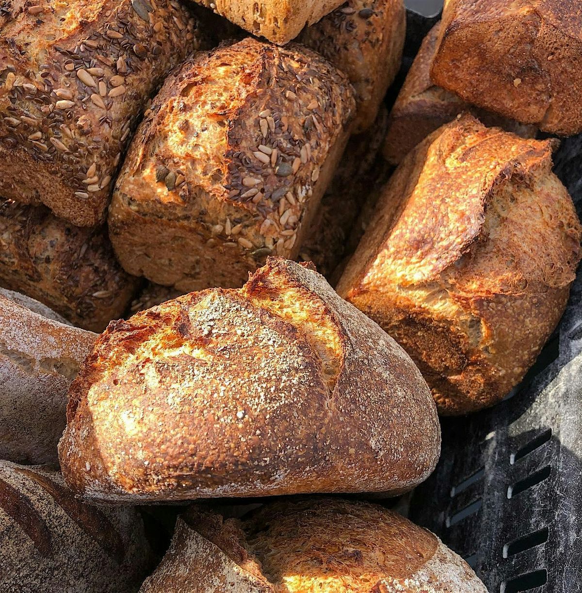 Fermentation Club at Bacareto - Grains, Flakes and Flours