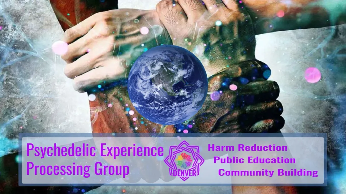Psychedelic Experience Processing Group