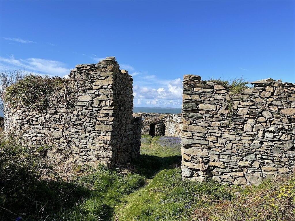 SWSARF Workshop - Iron Age and Roman (Dumfries)