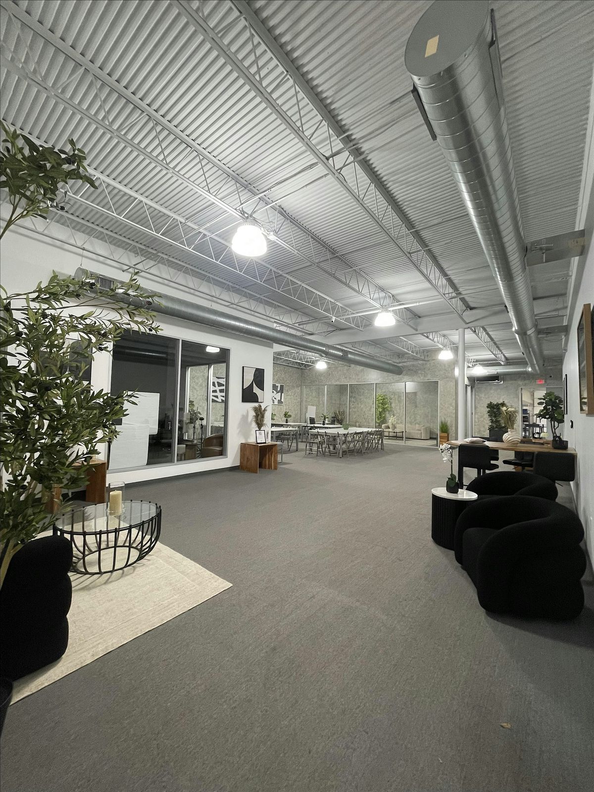 The Girls of Greenhouse