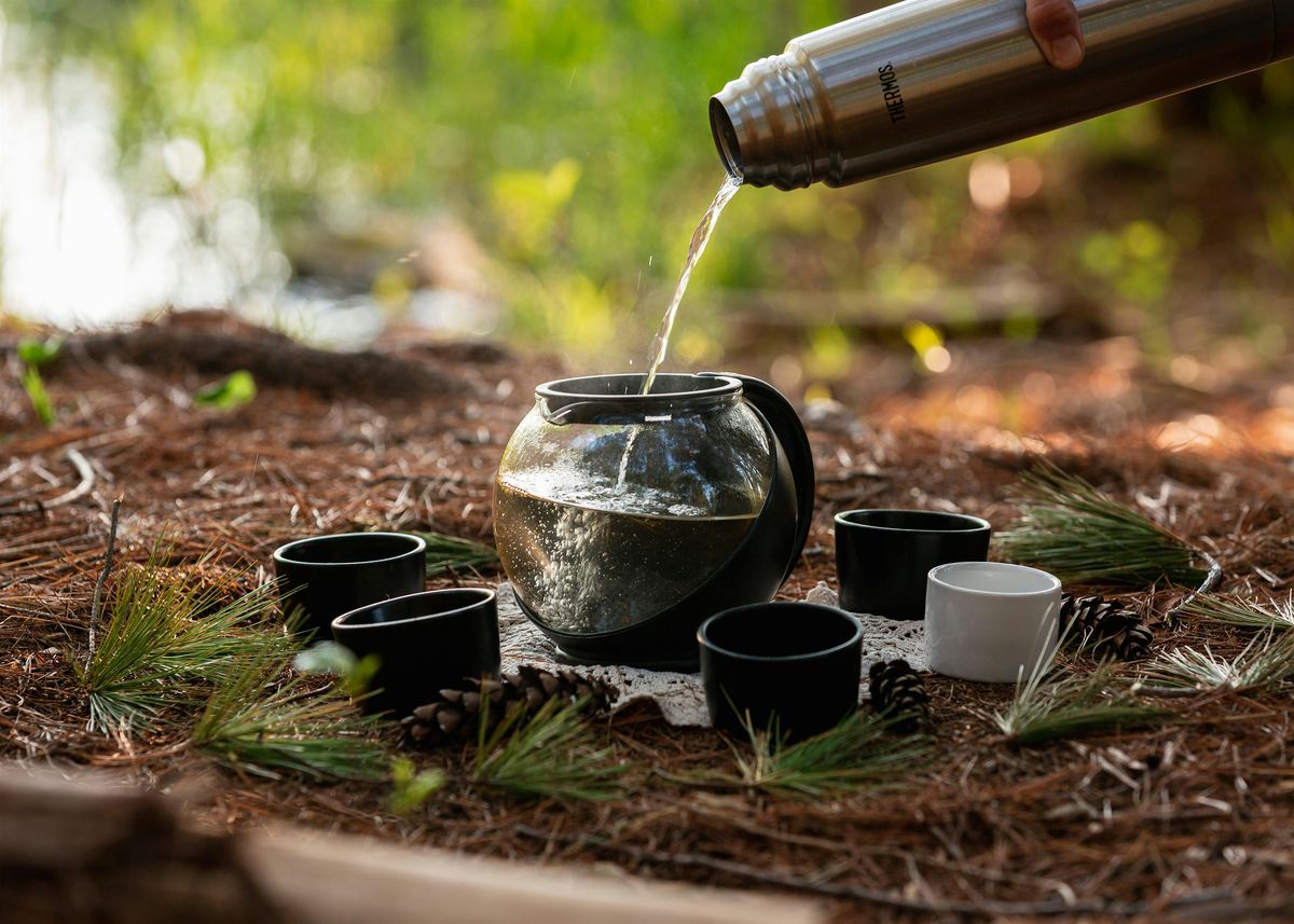 Three Sundays in May - Guided Nature Immersion