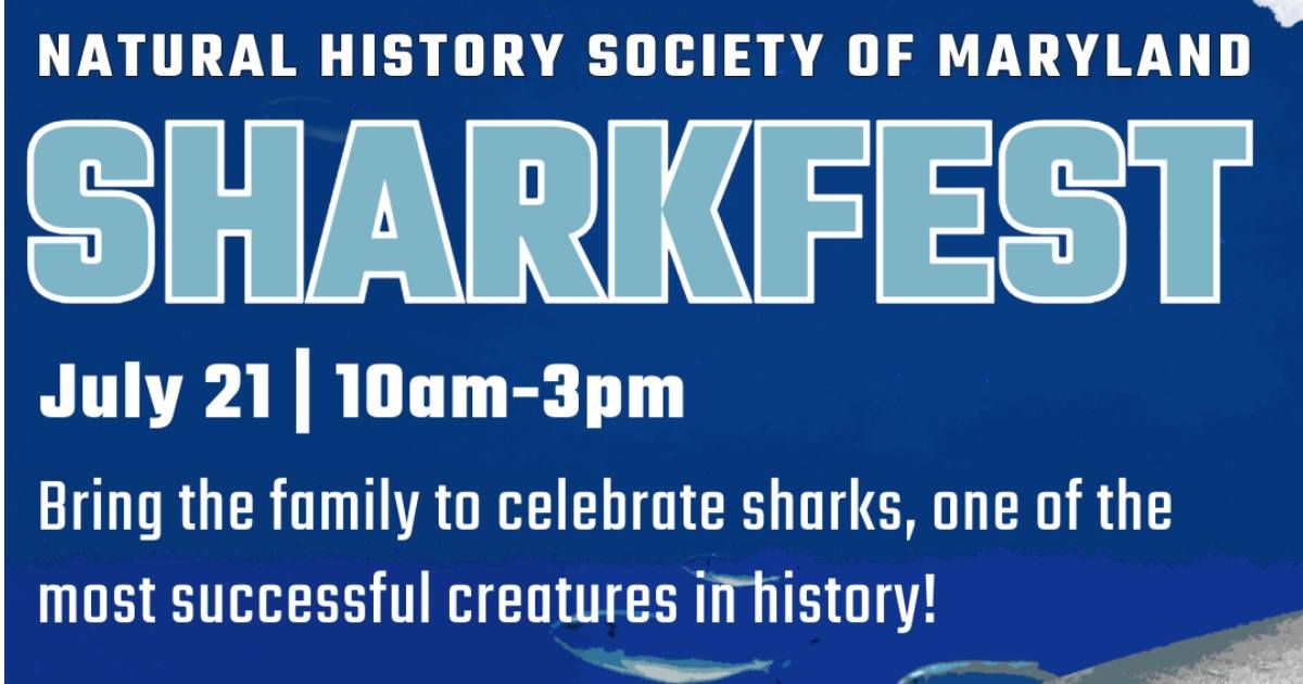 SharkFest 2024 6908 Belair Rd, Baltimore, MD, United States, Maryland