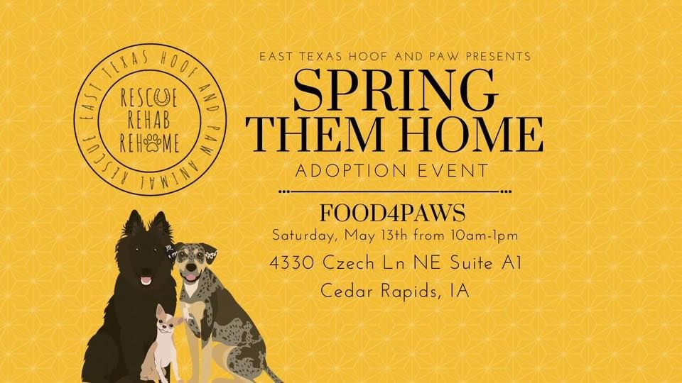 Spring Them Home Adoption Event Food 4 Paws Cedar Rapids IA May spring-them-home-adoption-event-food-4-paws-cedar-rapids-ia-may