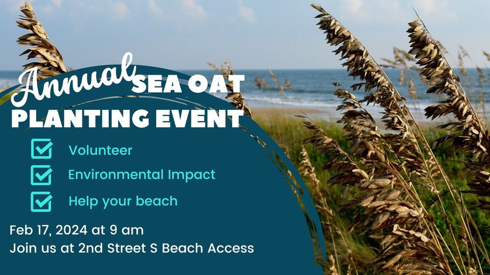 Annual Sea Oat Planting | 2nd Street, Cocoa Beach, FL | February 17, 2024