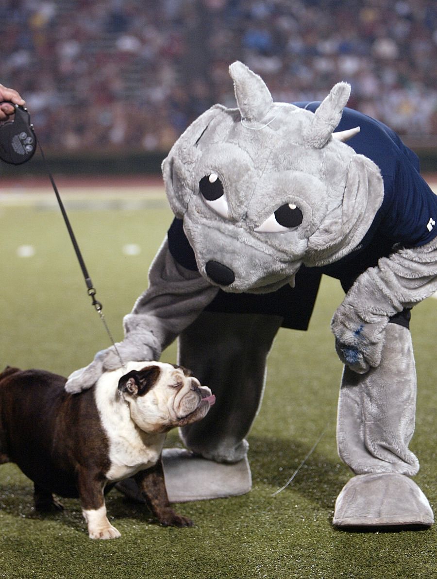 Furman Paladins at Samford Bulldogs Football at Pete Hanna Stadium