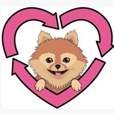 Recycled Pomeranians and Schipperkes Rescue