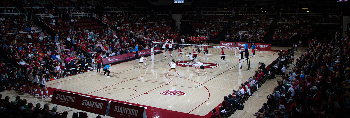 Stanford Cardinal at Louisville Cardinals Womens Volleyball