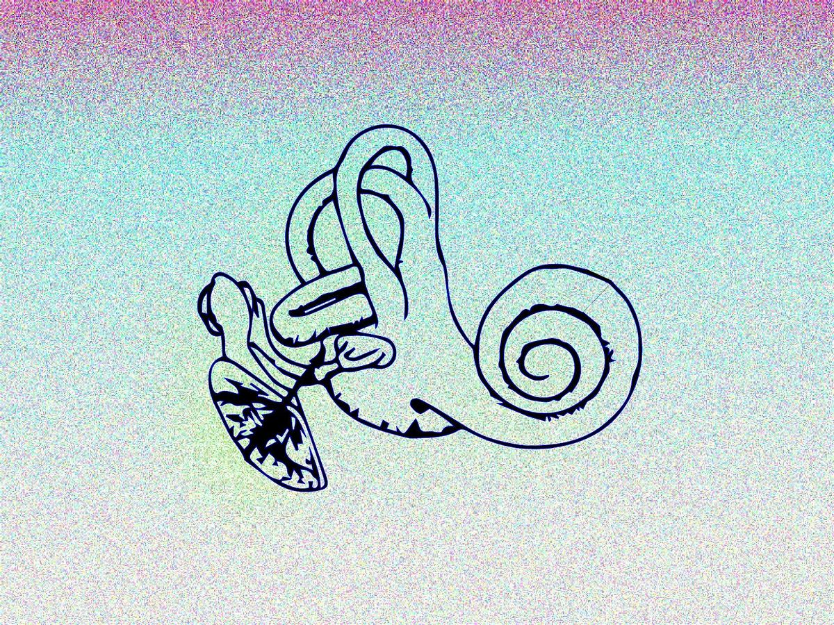 IMMERSIVE LISTENING SESSION