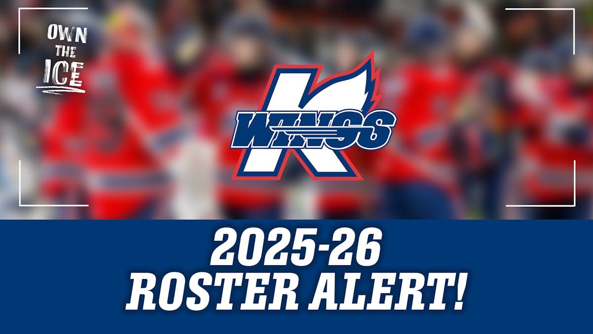 Rapid City Rush at Kalamazoo Wings