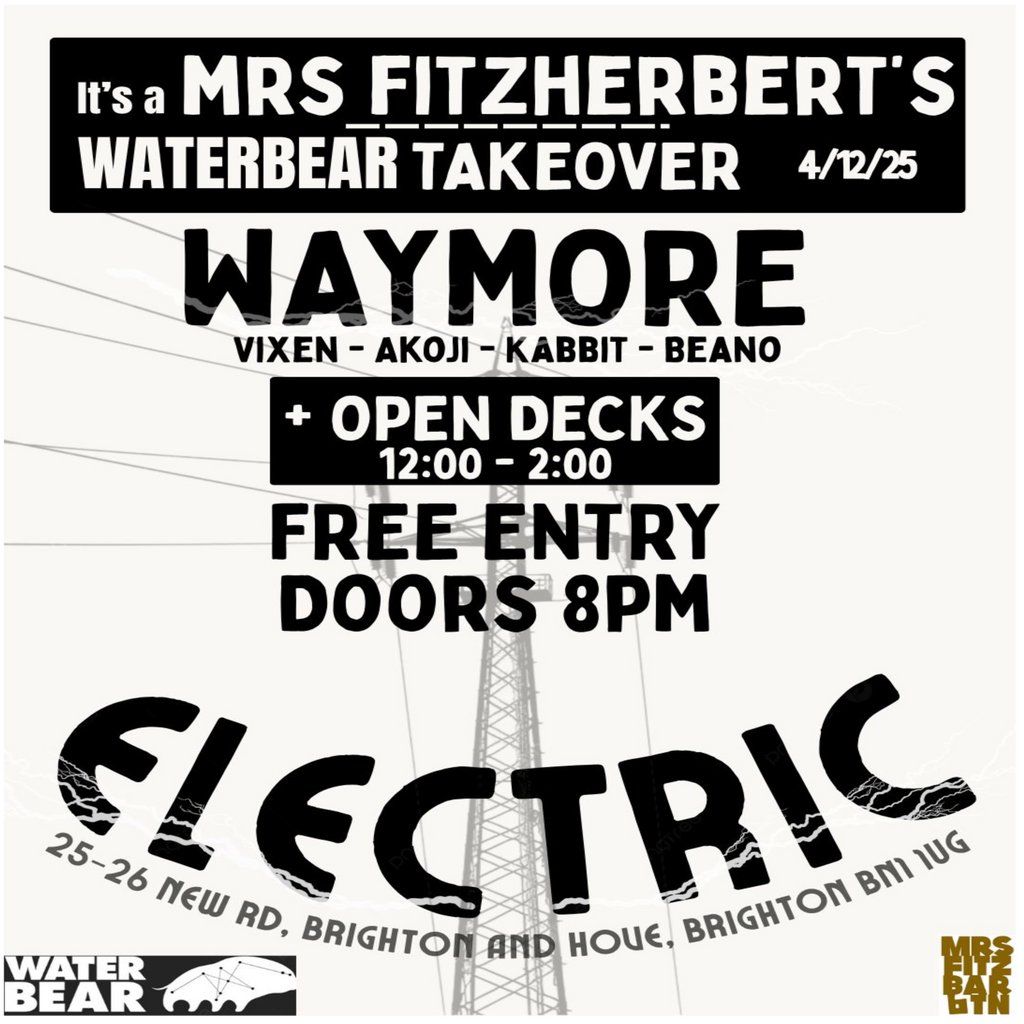 Electronic Takeover @ Mrs Fitzherberts