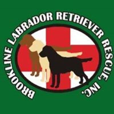 Brookline Labrador Retriever Rescue