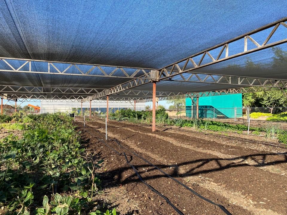 Winter Garden Prep Arizona Worm Farm, Phoenix, AZ November 12, 2022