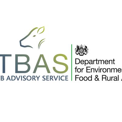 TB Advisory Service