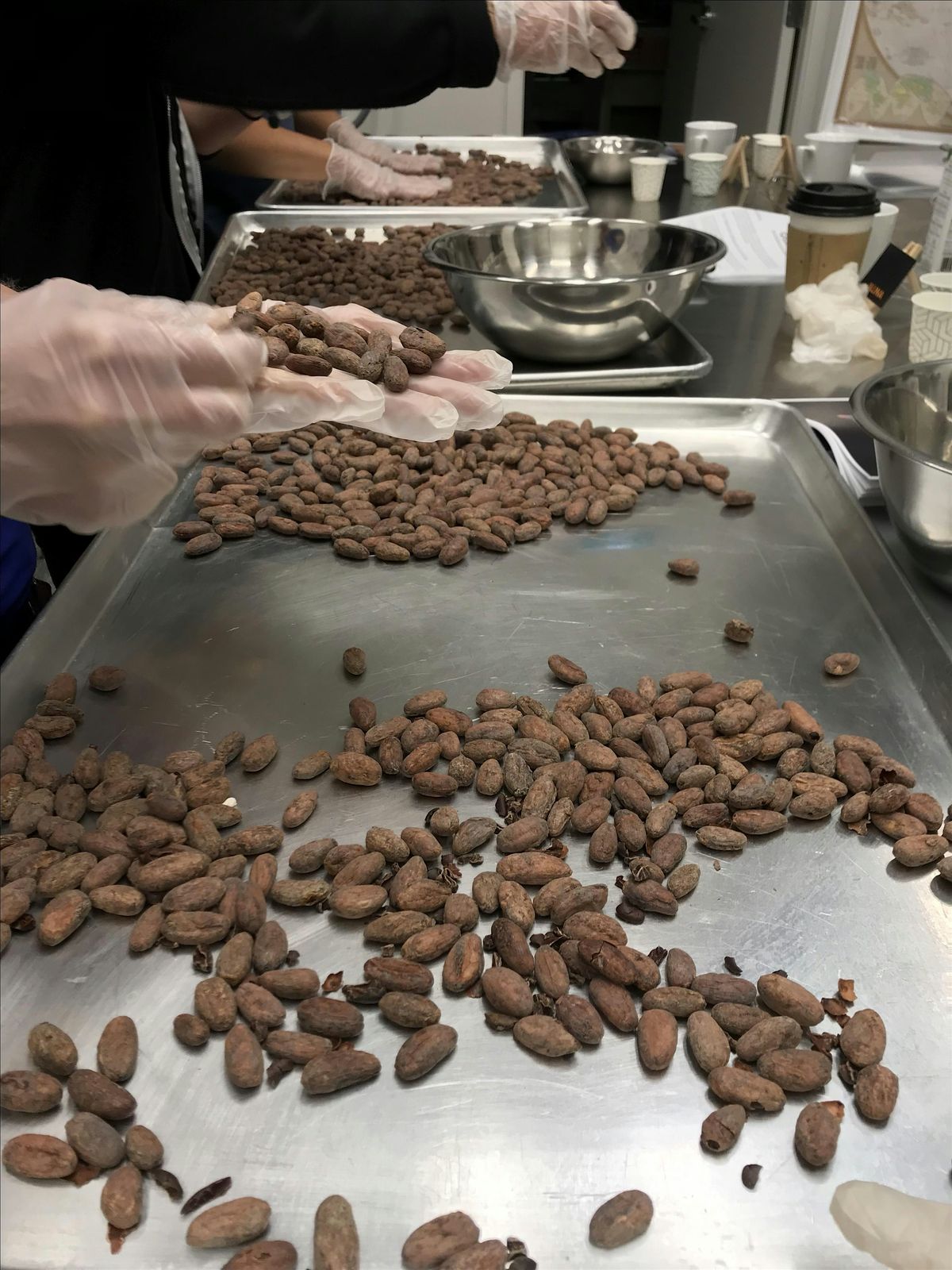 Master Class: Bean To Bar Milk Chocolate Making (6 Hours - 2 Evenings)