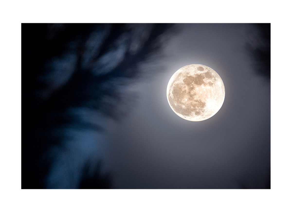 Moon's End Restorative with Danny Fuggi