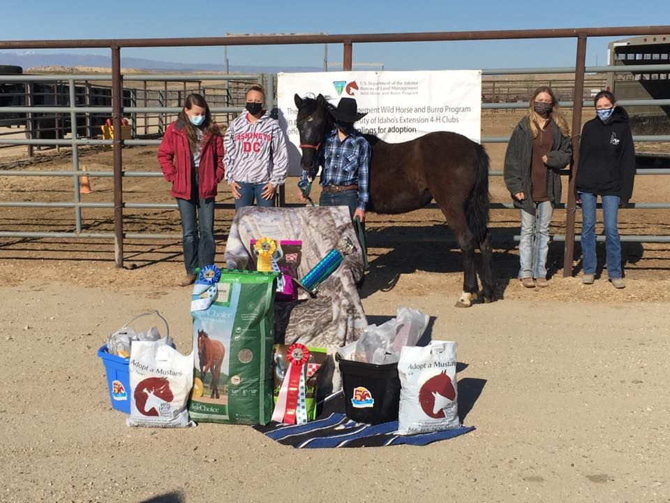 2022 ID Horse Expo 4H Mustang Adoption Idaho Center Blvd, Nampa, ID 83687, United States
