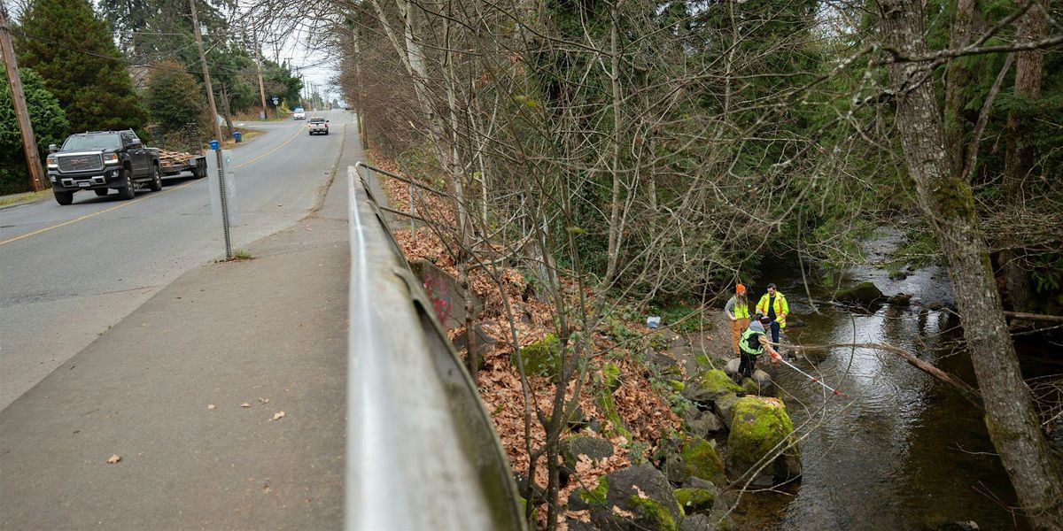 Protecting Salmon From Tire Wear Toxicants: 6PPDQ Workshop 2026