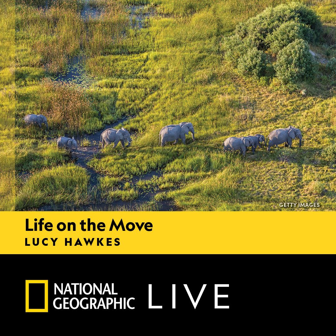 National Geographic Live: Life On The Move - Lucy Hawkes