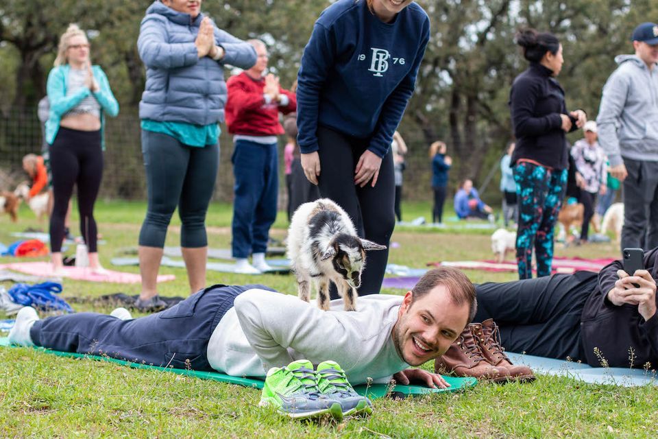 Doom Metal Goat Yoga