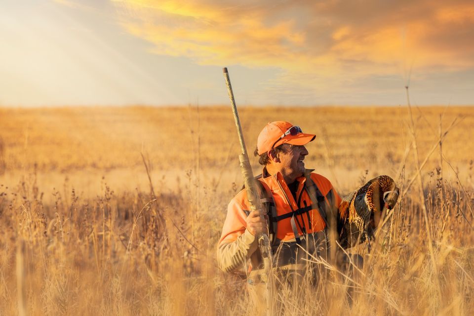 Pheasant Classic