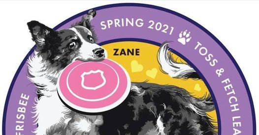 k9 frisbee toss and fetch