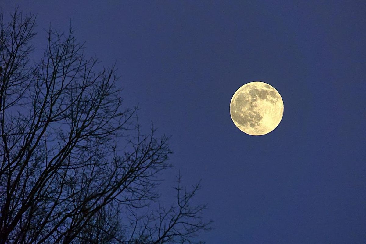 Full Moon Meditation for Women