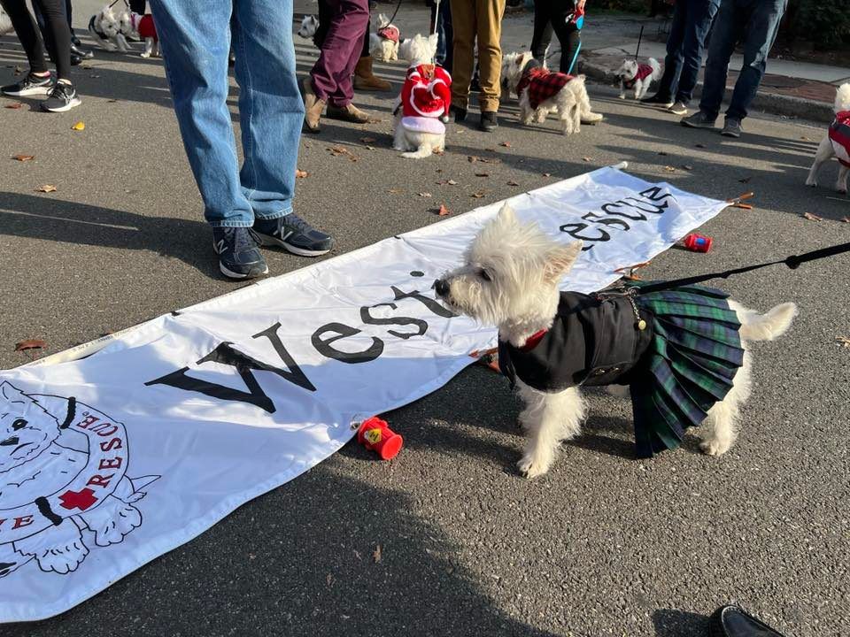 Annual Scottish Walk Parade Alexandria, Virginia December 3, 2022