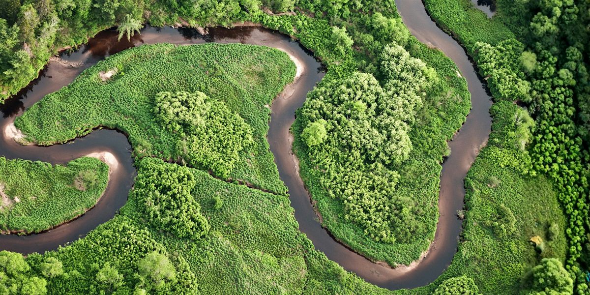 Could Rights of Nature save Britain\u2019s disappearing wildlife?
