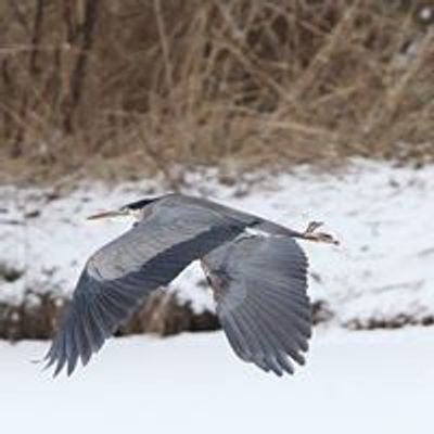 Great Blue Heron Nature Reserve Society