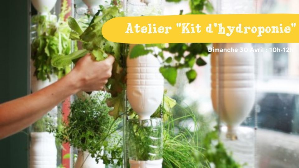 Jeu De 2 Vases Muraux En Verre Transparent Forme Cône - Pour Hydroponie, Décoration Intérieure, Fleurs Fraîches Ou Séchées - 13