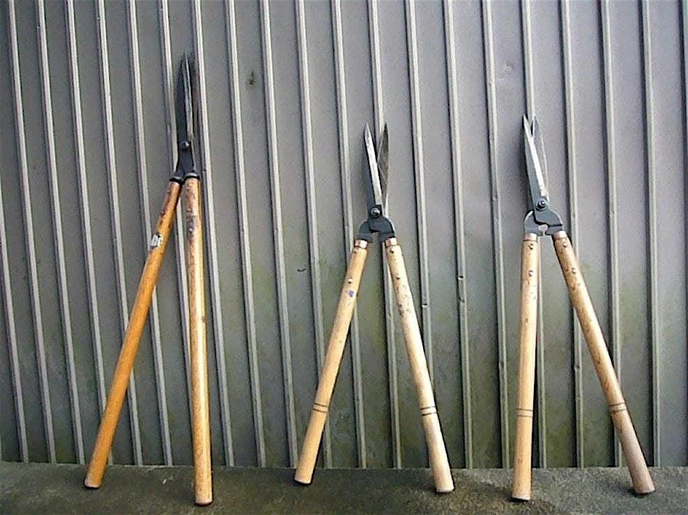 Frederick County Master Gardeners: What a Mess!