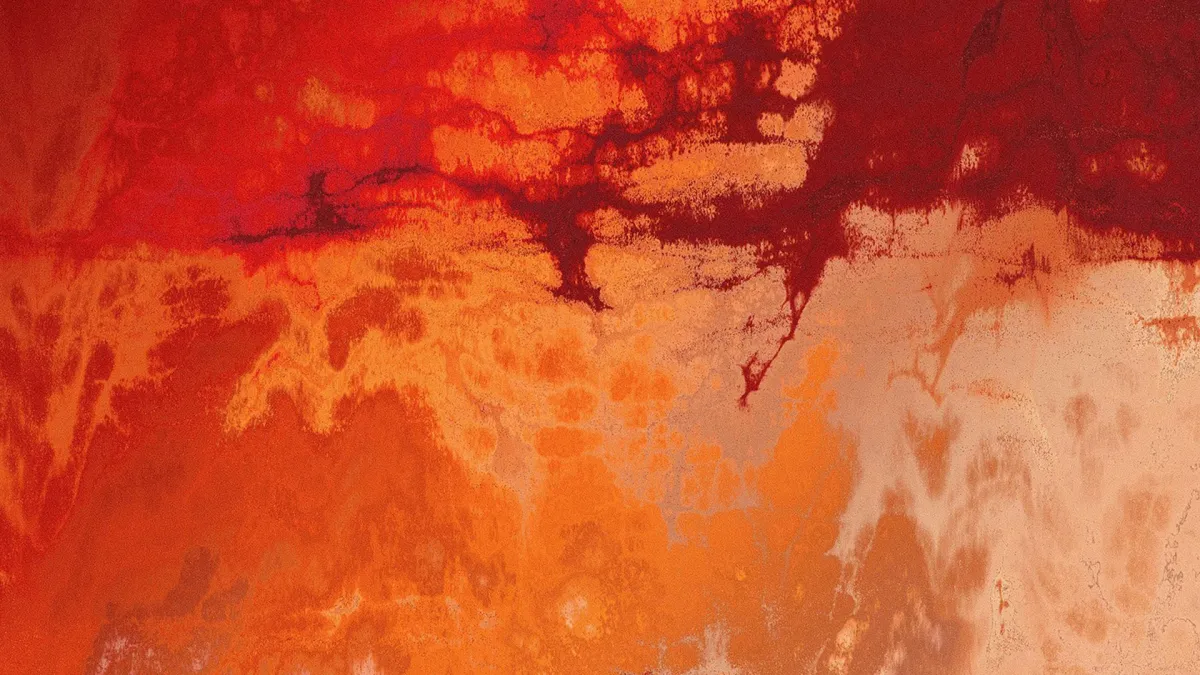 Ben B\u00f6hmer in Bogot\u00e1