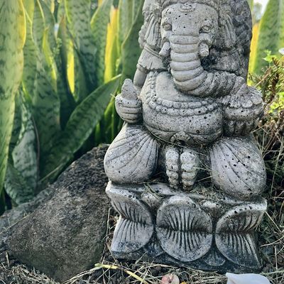 Eldorado Mountain Yoga Ashram