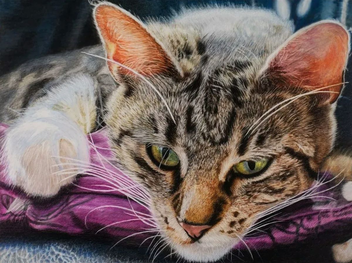 Workshop | Colored Pencil Drawing & Painting 4-Week
