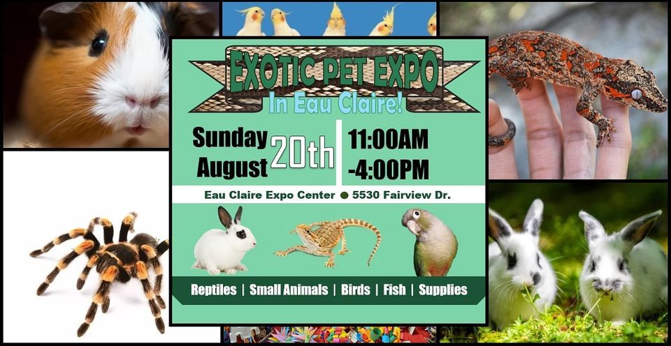 Eau Claire Exotic Pet Expo!