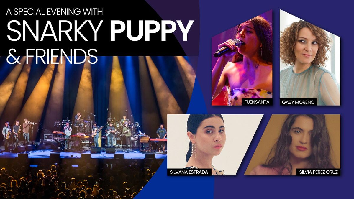 Snarky Puppy at Revolution Hall Portland