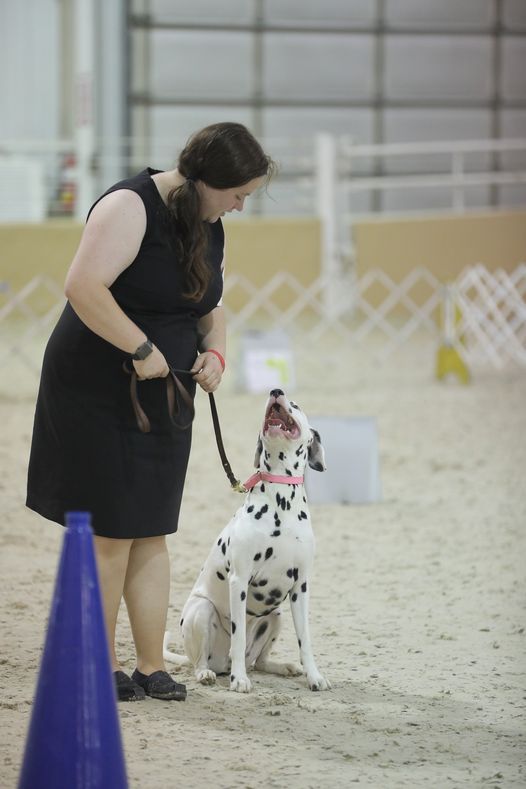 2021/2022 Cyclone Country Kennel Club Rally and Obedience Trial Des