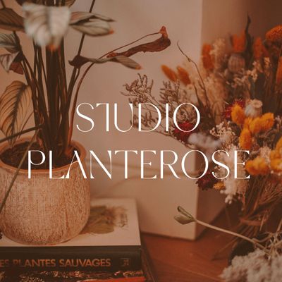 Studio Planterose